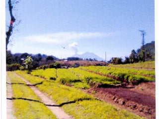En venta Granja en La Cumbre, San Pedro Sacatepéquez - 5