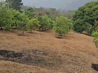 Vendo Propiedad para contruir 1 o varias Casas de Campo en Granja - 2