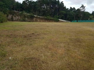 ALQUILO Terreno de 1.6 Manzanas en Km. 9 ruta al Atlántico Z.17 por Q30,000 - 2