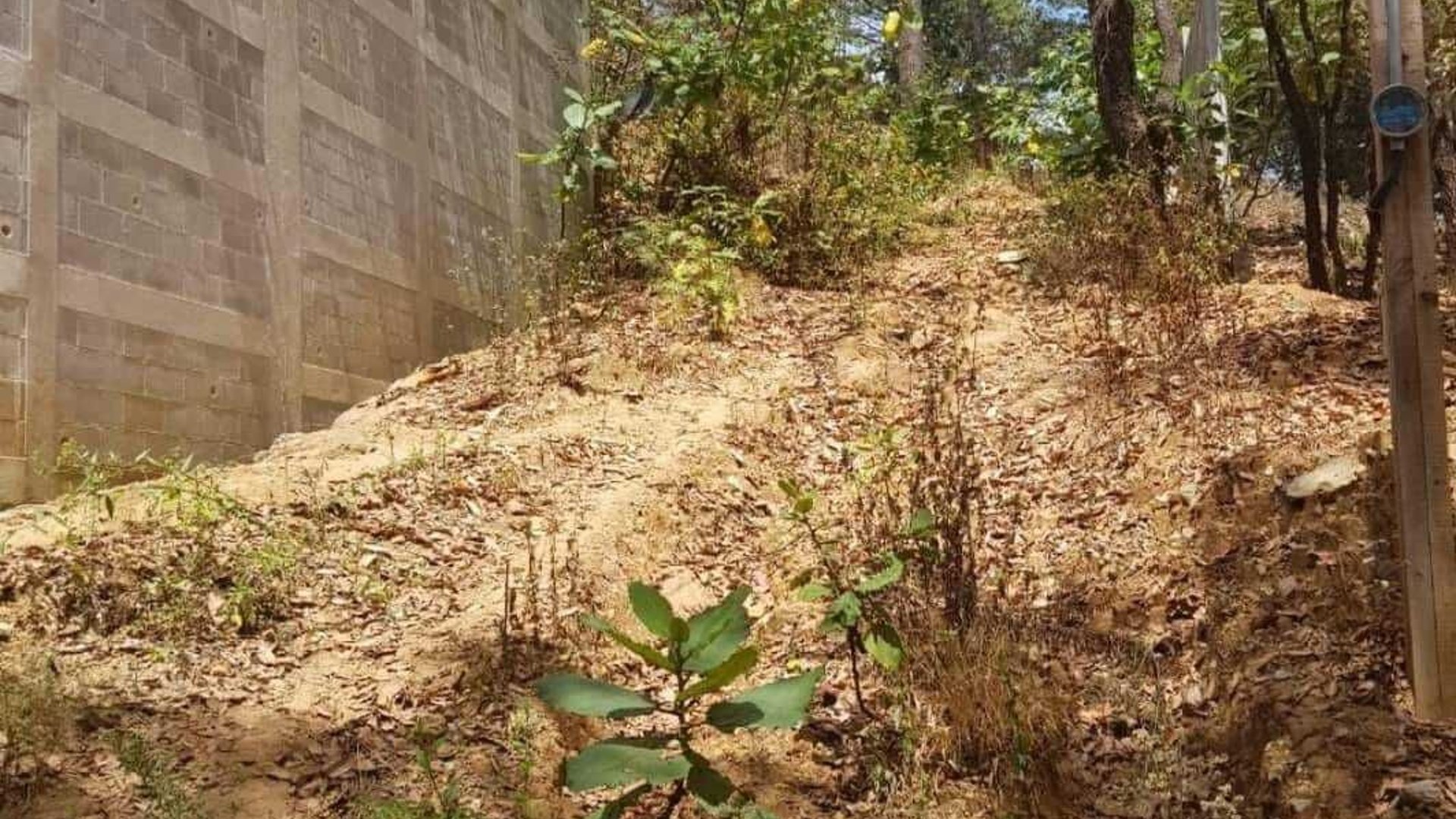 EL ENCINAL/ TERRENO EN VENTA - Miniatura 4