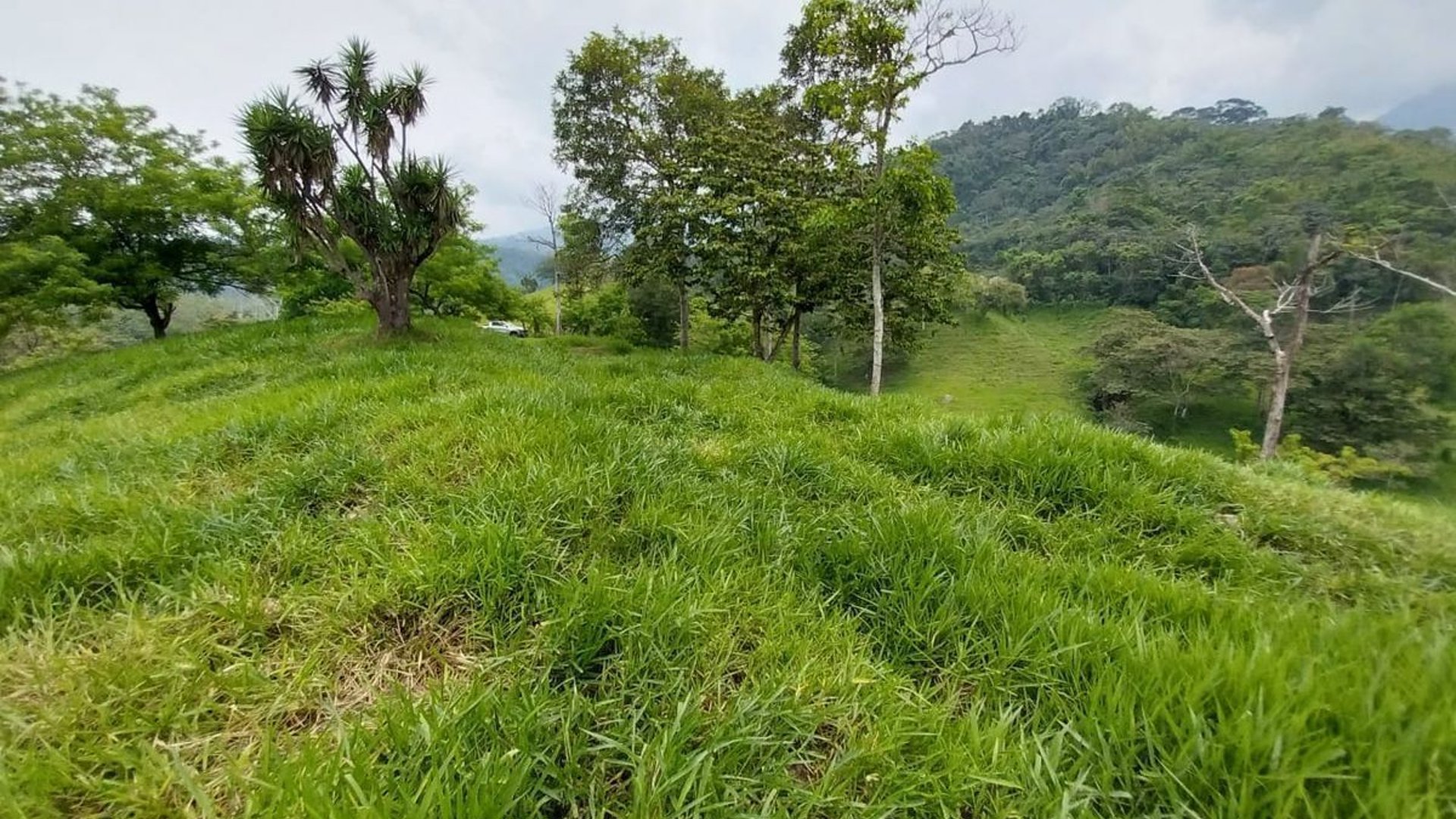 Finca en VENTA de 2 caballerías en Chicacao, Suchitepéquez - Miniatura 6