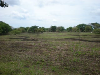 TERRENO EN VENTA EN MANAGUA, NICARAGUA, LAGUNA DE APOYO - Image 15
