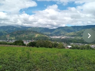 Terreno en venta Ciudad Vieja - 3
