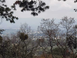 EL ENCINAL/ TERRENO EN VENTA - 4