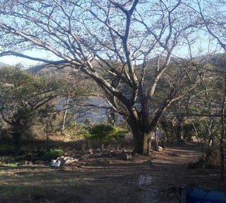 AMATITLAN / Terreno en Venta,