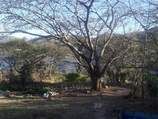 AMATITLAN / Terreno en Venta, - Image 1