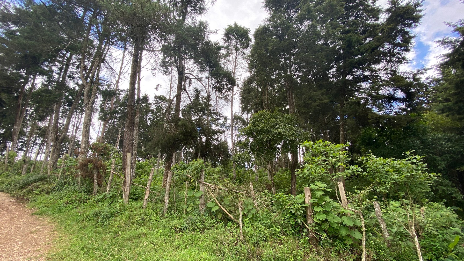 Terreno en Venta Aldea El Platanar, San José Pinula, Guatemala - Miniatura 8
