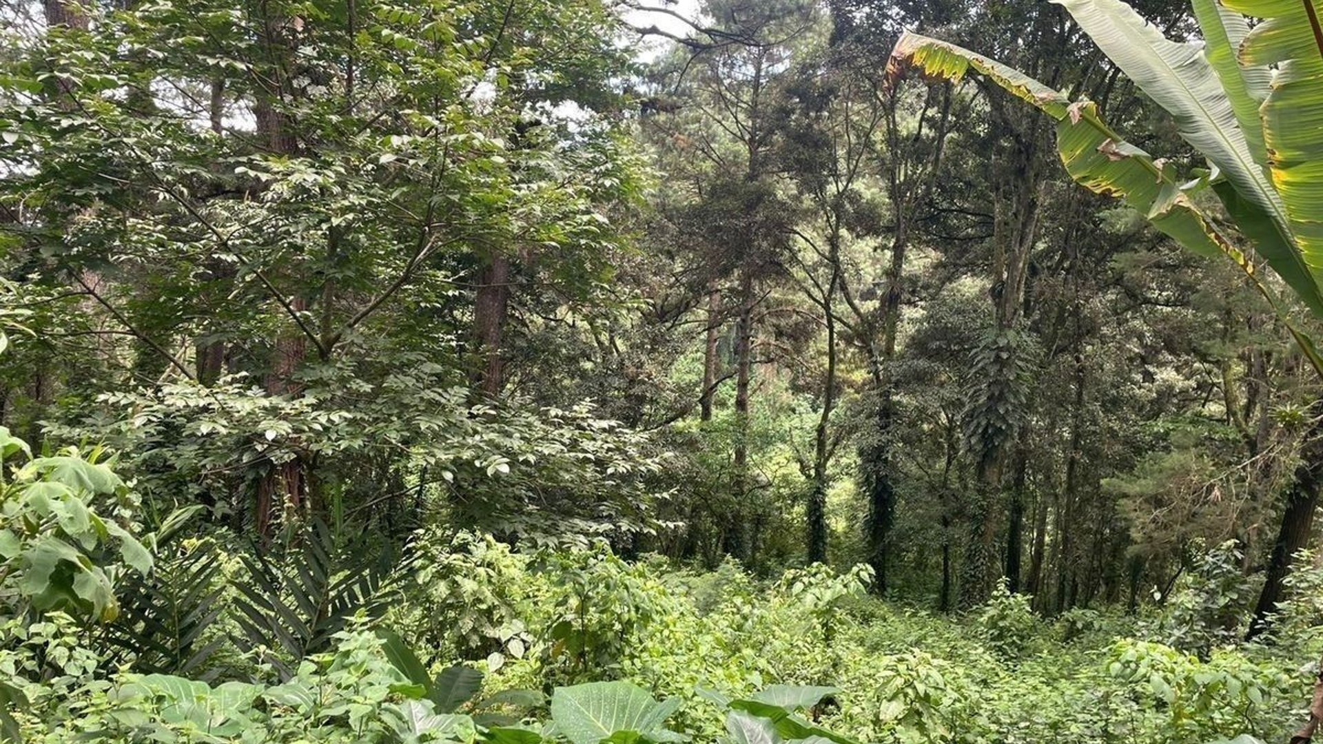 SANTA ROSALÍA / Terreno en venta
