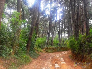 TERRENO EN RENTA EN SAN LUCAS SACATEPEQUEZ - 5