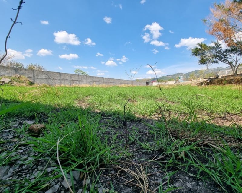 Terreno en Renta en Palencia sobre calle Principal