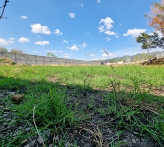 Terreno en Renta en Palencia sobre calle Principal