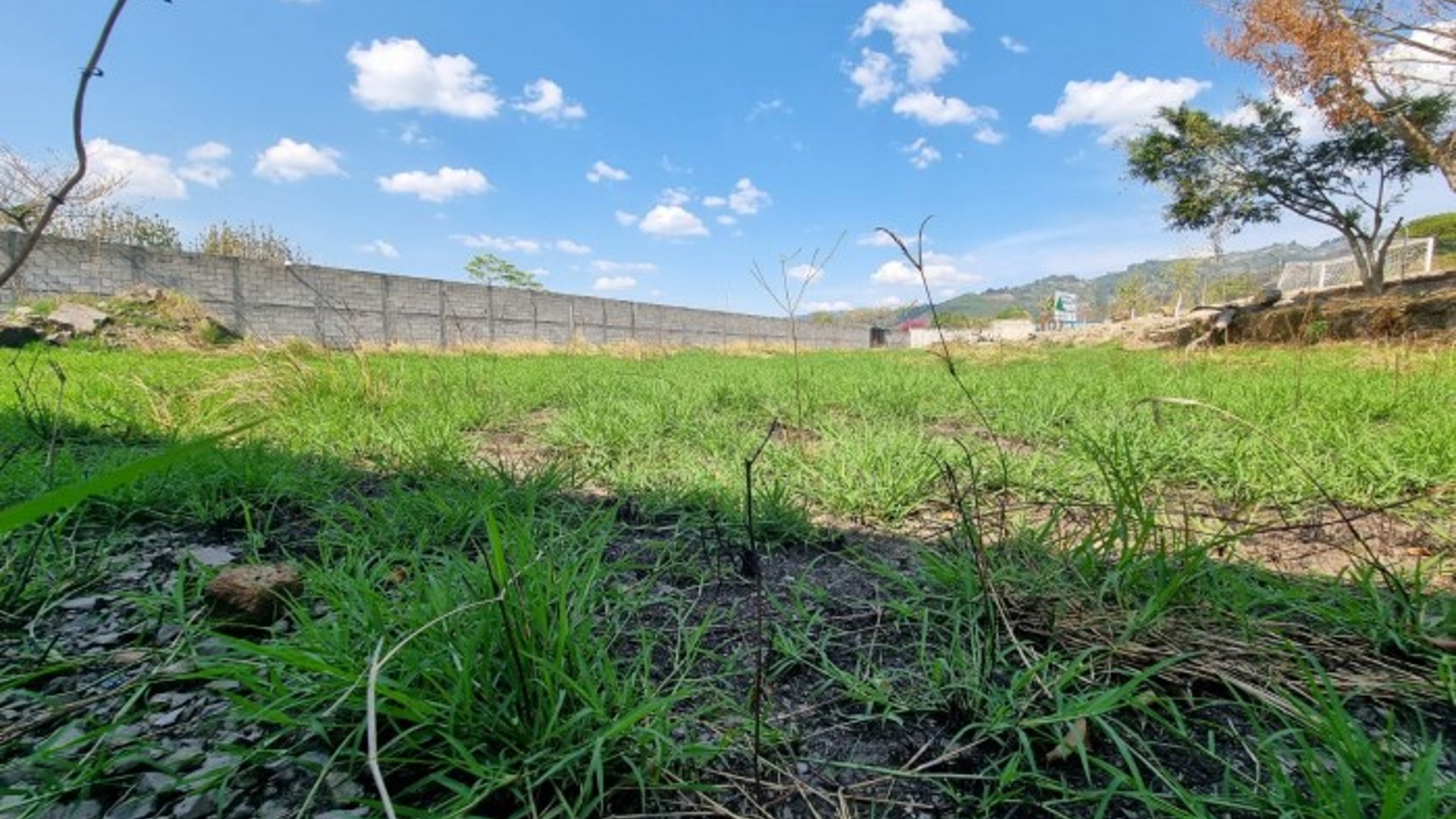 Terreno en Renta en Palencia sobre calle Principal
