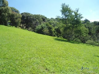 TERRENO RESIDENCIAL EN VENTA SAN GERMAN DEL BOSQUE FRAI - 2