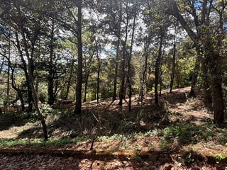 Venta de terreno en San Lucas Aldea El Choacorral - 4
