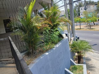 Bonito y Amplio Local comercial Atanasio Tzul z. 12 - Image 1