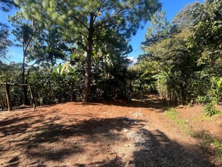 Finca en Venta en Fraijanes, Guatemala | Km 16-30 - 5