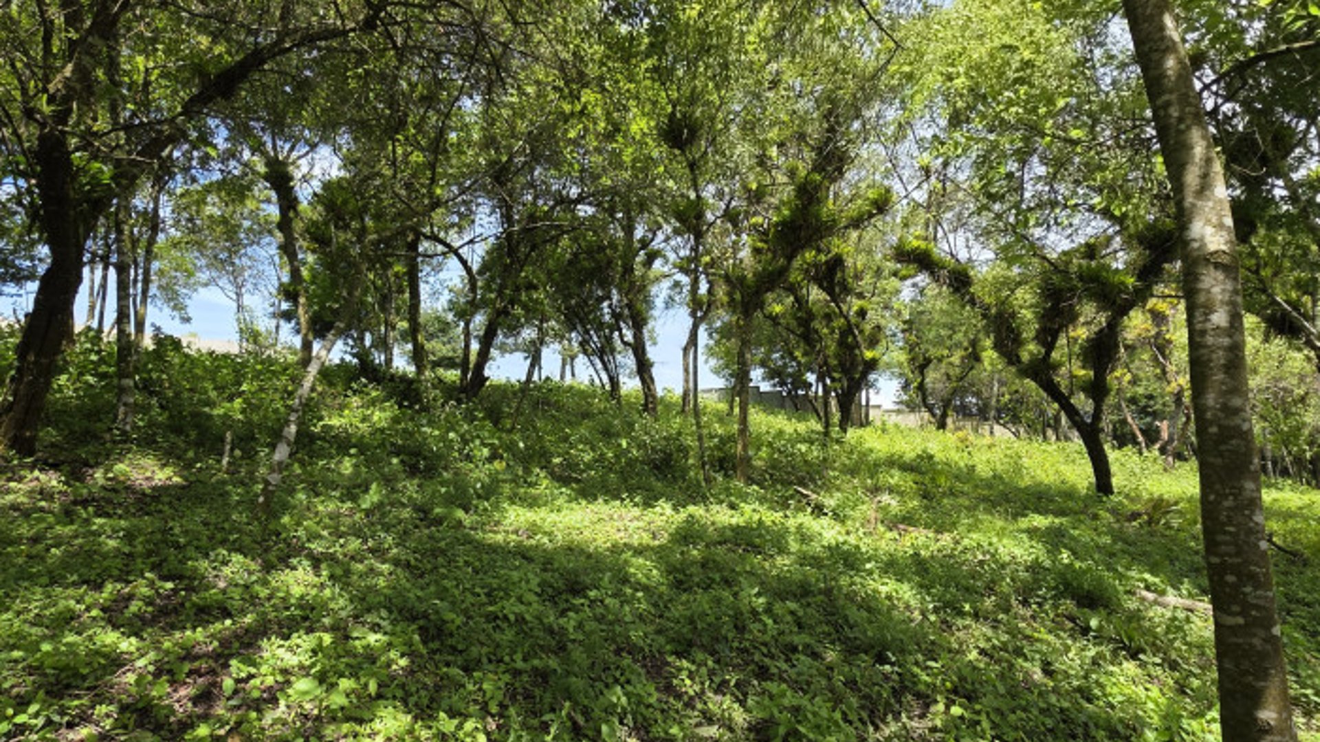Terreno Venta Altos San Vicente Sta. Catarina Pinula - Miniatura 6