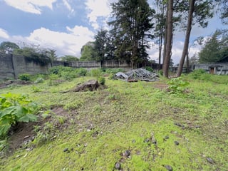 Terreno en ALQUILER en Carretera a El Salvador - Image 9