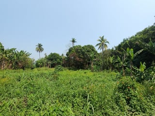 En Venta finca +40Mil Varas en el Km. 78 Ruta CA-2 - 2