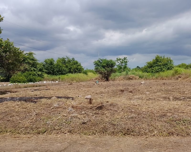 Terreno en Venta Quintas La Ponderosa Escuintla