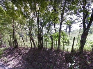 Propiedad en Izabal  - 4