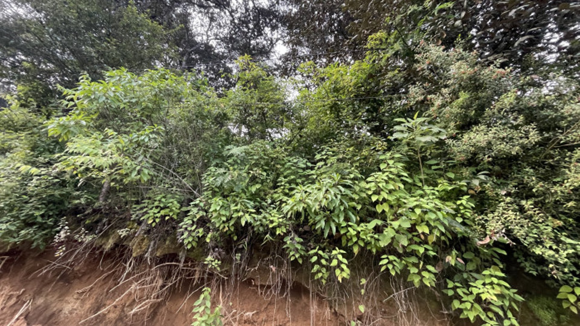 Terreno en venta en Aldea Chichorin San Lucas - Miniatura 11