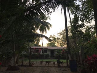 Excelente terreno de 17 manzanas en Nueva Concepción Escuintla - 5