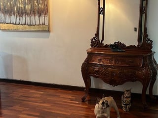 APARTAMENTO EN ALQUILER EN ZONA 14 LA VILLA - 4