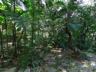 Terreno en Venta Zona 15 Guatemala, uso residencial - 4