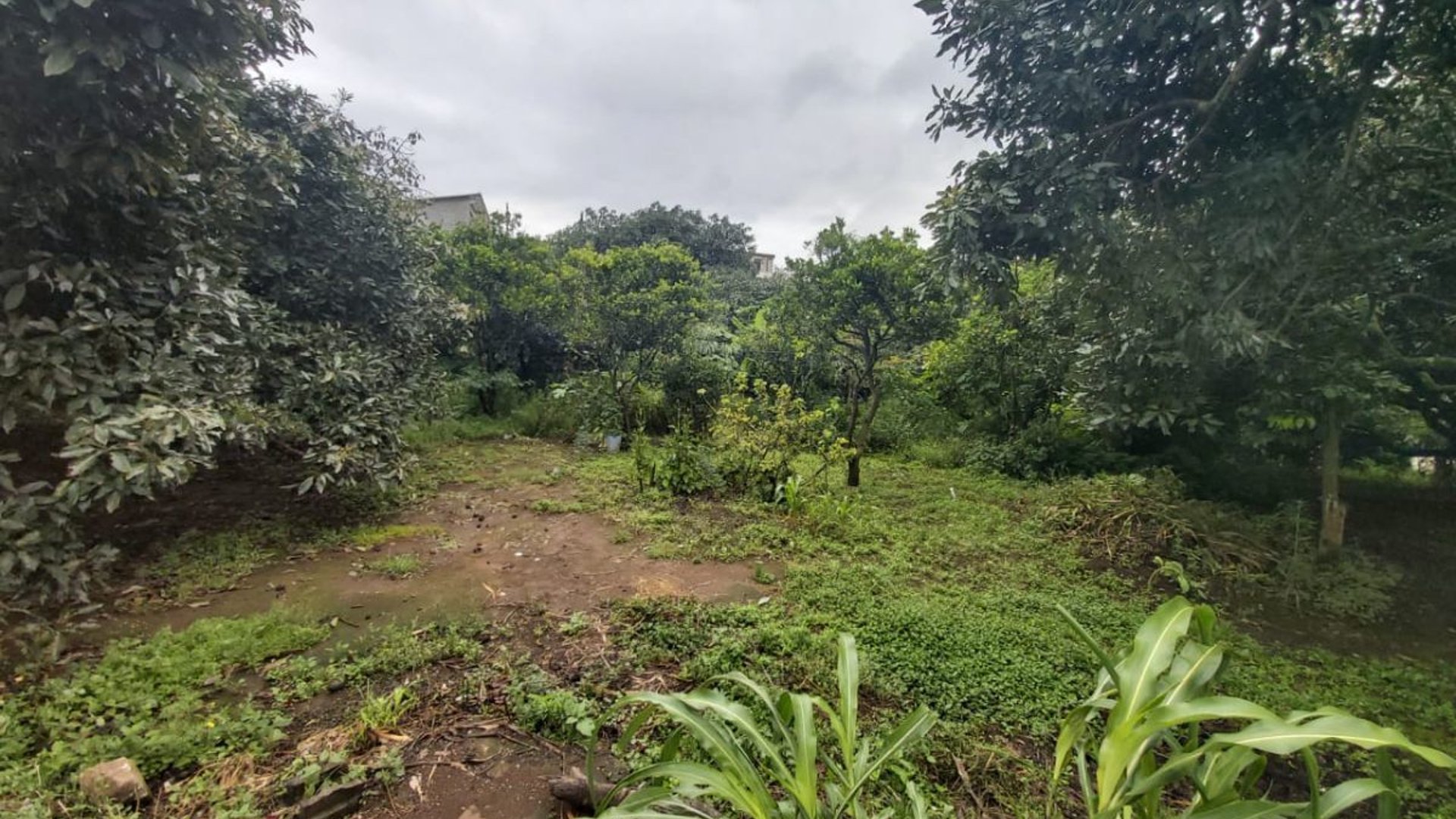 Vendo terreno en Milpas Altas $485,000.00 para desarrollo