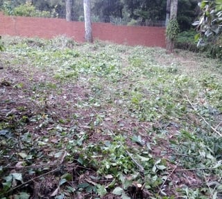 Terreno en Venta en Condominio Labor de Castilla, Mixco
