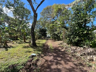 Terreno en Venta en el Km 50.2 en Barberena, Santa Rosa - 3