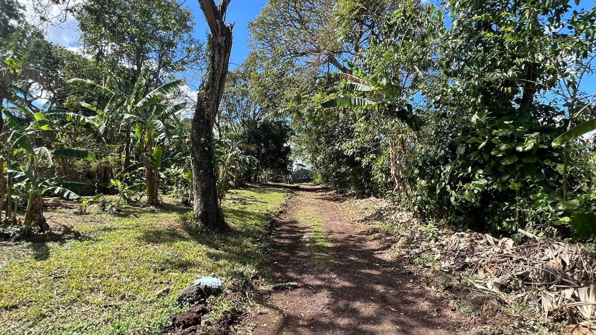 Terreno en Venta en el Km 50.2 en Barberena, Santa Rosa - Miniatura 3