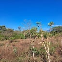 Amplio Terreno en Venta en Palín Escuintla - Miniatura 3