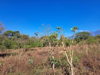 Amplio Terreno en Venta en Palín Escuintla - 3
