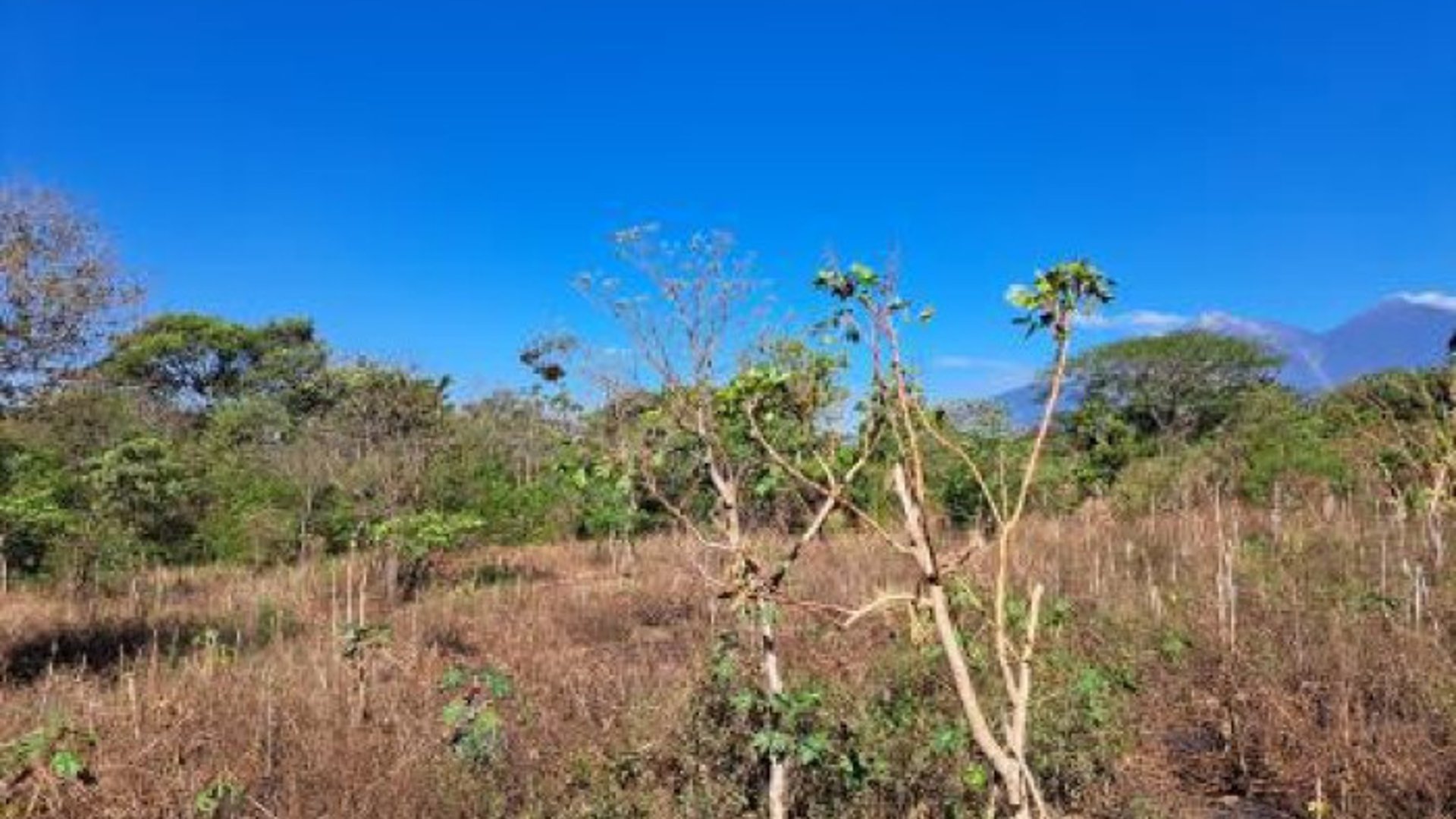 Amplio Terreno en Venta en Palín Escuintla - Miniatura 3