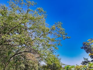 Terreno Ecológico en Venta - Residencial La Reunión Club de Golf - 2