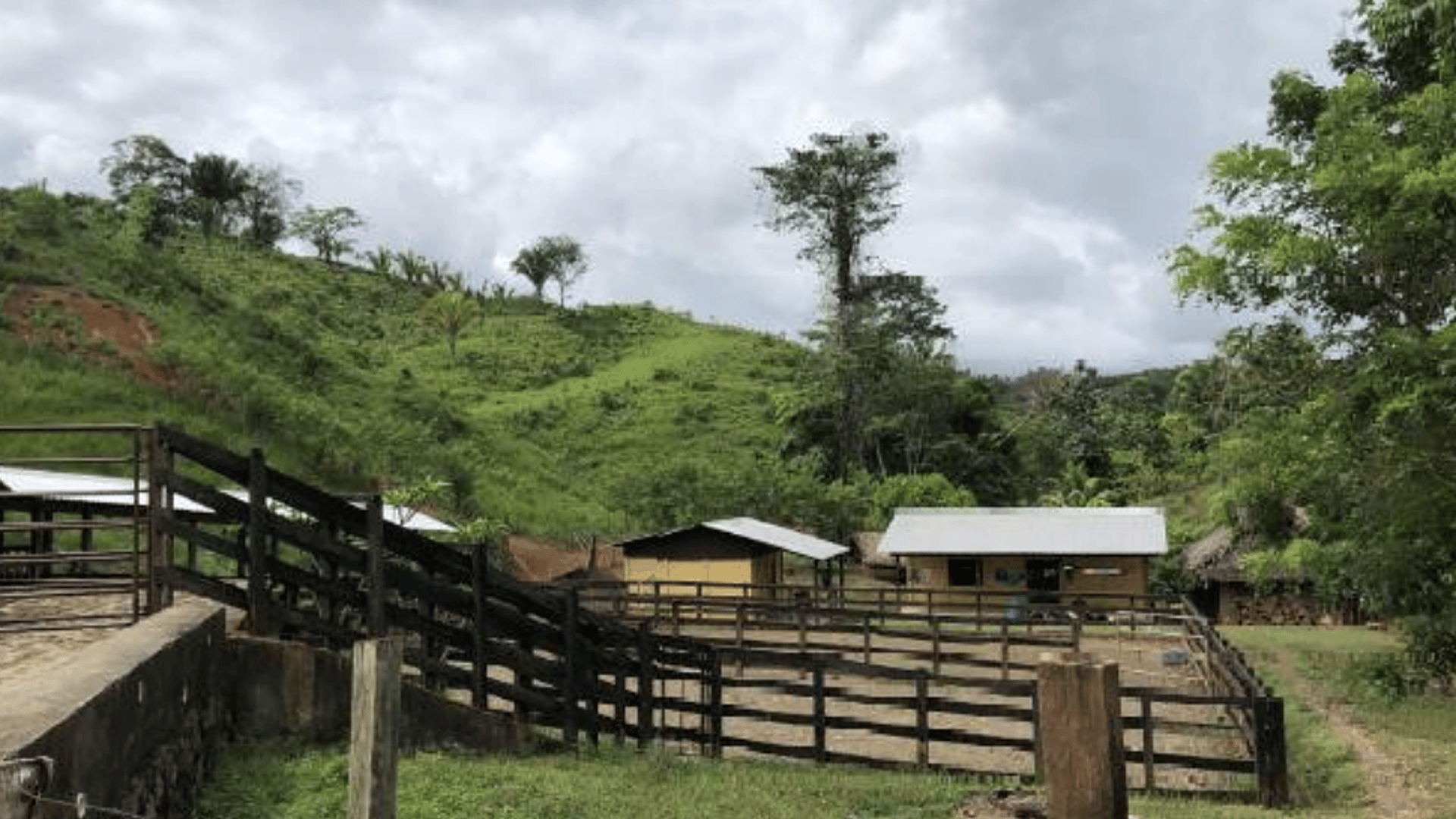 Finca en VENTA en Municipio Nuevo Chahal, Alta Verapaz - Miniatura 8