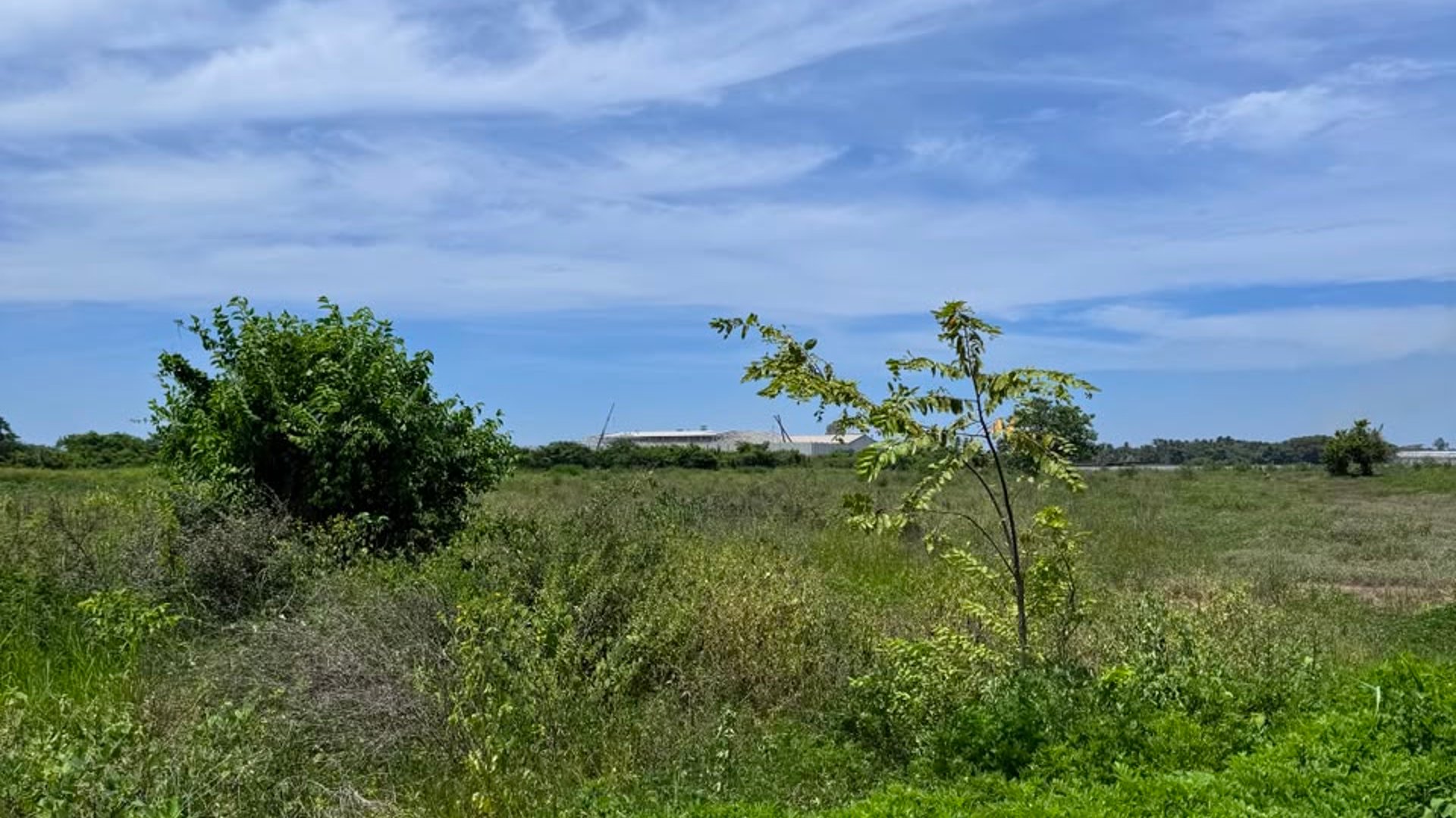 ???? TERRENOS INDUSTRIALES EN VENTA –16,762.82 | KM. 98 | PTO. SAN JOSE - Miniatura 10