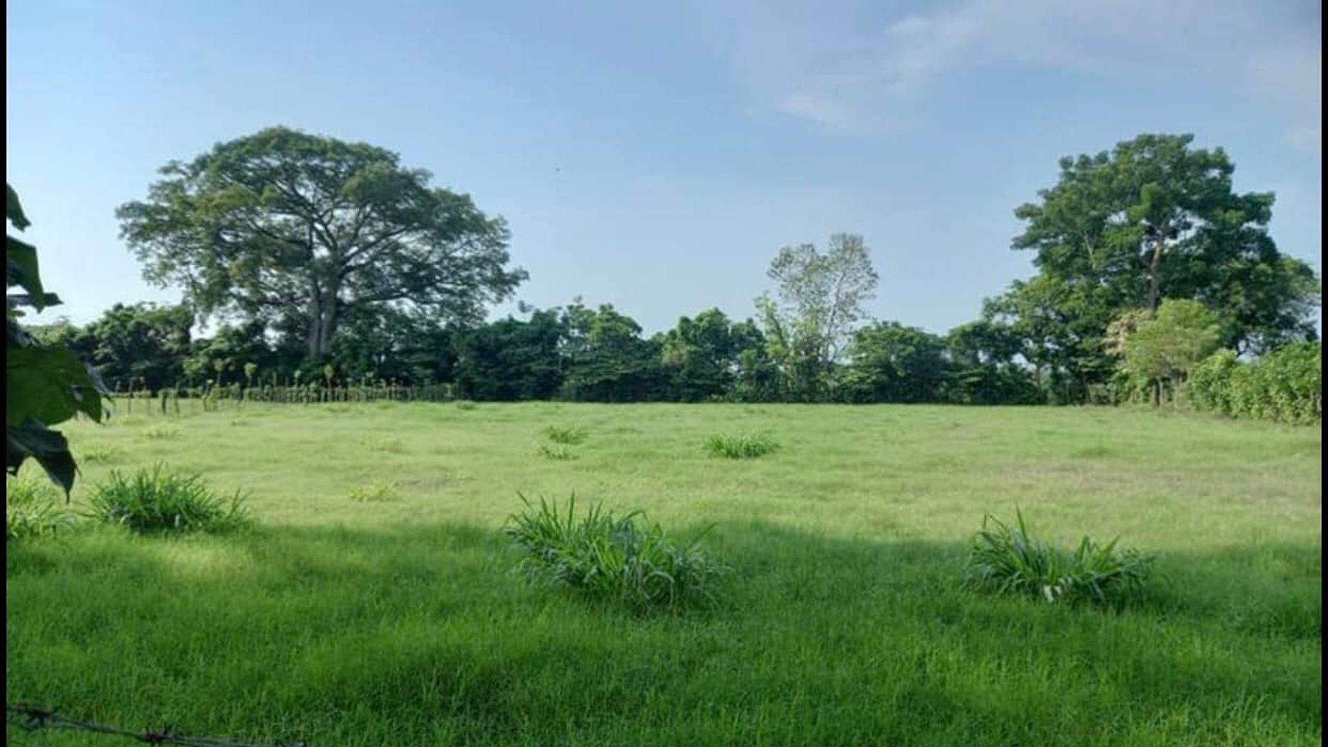 24 manzanas a la venta, Cuyuta Mazagua Escuintla. 