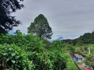 Terreno en Venta, Carretera a El Salvador (V9932) - 5