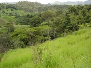 Terreno en Venta Aldea Agua Caliente El Progreso - Image 1
