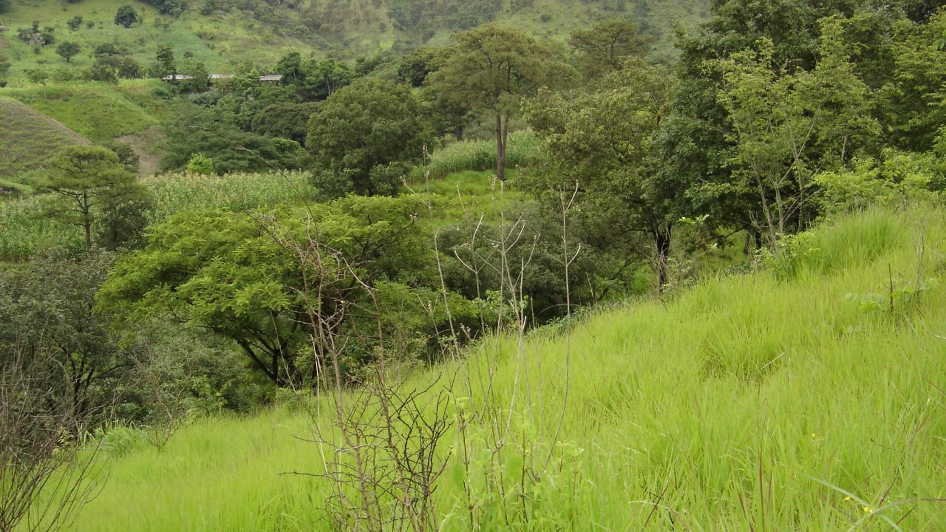 Terreno en Venta Aldea Agua Caliente El Progreso