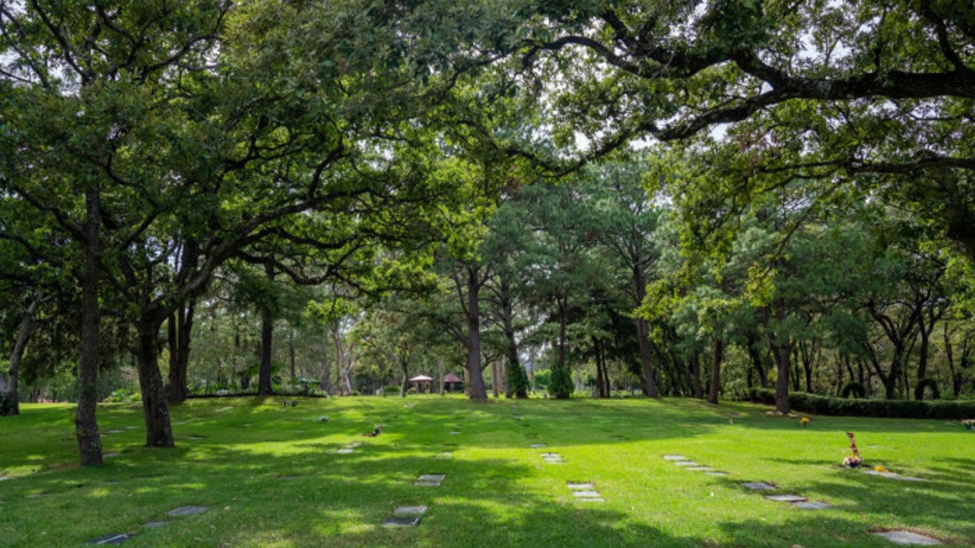 Terreno en Venta en Parque Memorial - Los Parques