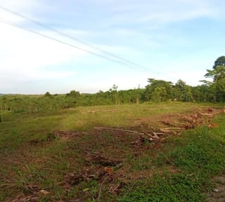 Venta de terreno en Rio Dulce Izabal Ref-4961