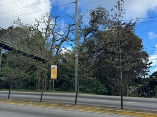 Terreno en Venta en Carretera San Lucas hacia Antigua - Image 12