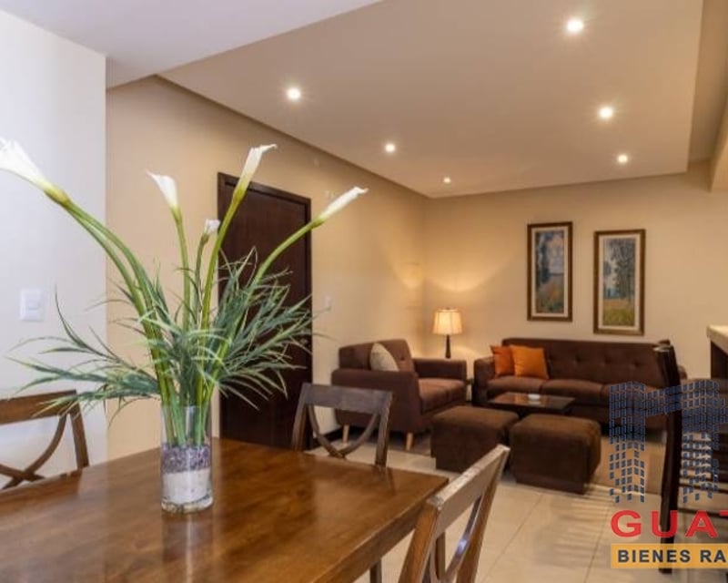 Apartamento en Renta, Zona 14 (R9155)