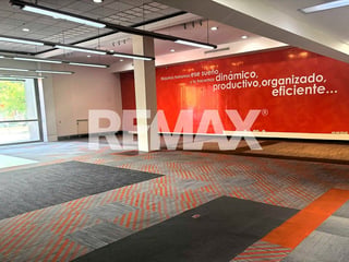 Local Comercial en Alquiler | Zona 10 - 3