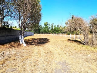 TERRENO EN VENTA EN IZTAPA  A 20 METROS DEL MAR - 2