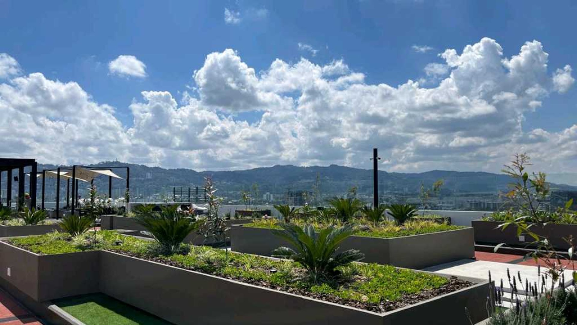 APARTAMENTO EN RENTA – ATHARA, ZONA 10 - Miniatura 5
